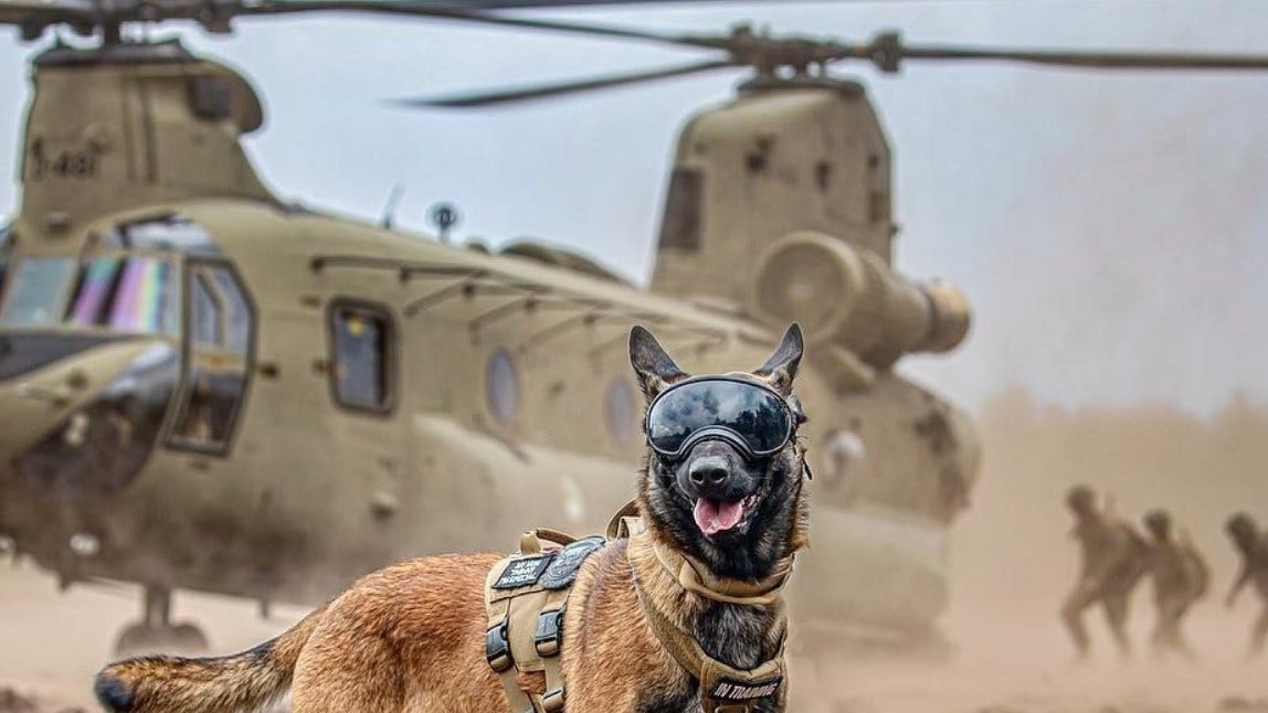K-9 Hundeutstyr